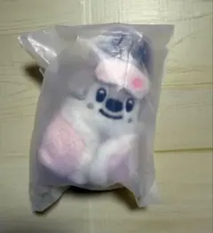 StrayKids スキズ バンチャン ウルフチャン ペンミ 10センチぬい