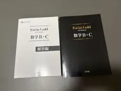 Focus Gold 数学B+C 解答付き