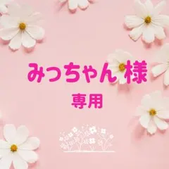 みっちゃん様専用　カクタスパーチ　特注品２点