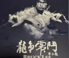 再値下げ！激レア 新品 希少 廃盤 ブルース・リー 特大ビックサイズ