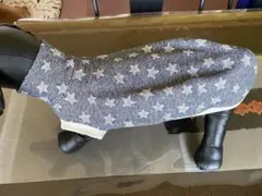 Item thumbnail for item a2c3c1c4-03e0-4097-a264-26adfa4cea94