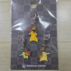 ポケモンセンター 全国ずかんメタルチャーム 3個セット