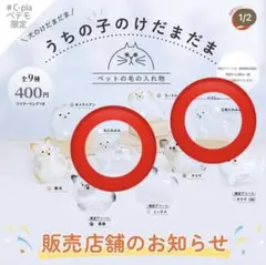 〔C-plaペテモ限定 〕うちの子のけだまだま　三角たれみみ&丸たれみみセット