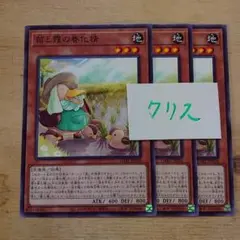 遊戯王カード 苗と霞の春化精(ノーマル)3枚セット未使用品