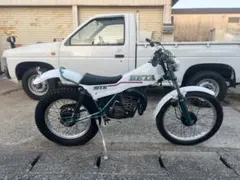 HONDAホンダトライアルバイクTLR250白オフロードレストアベース不動 