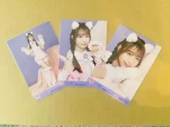 ＝LOVE イコラブ　瀧脇笙古　生写真 猫衣装　コンプ　７周年コンサート
