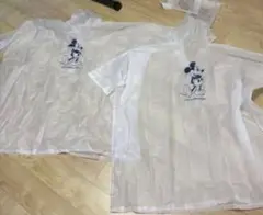 ディズニー　レインコート　2着