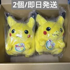 新品 2個セット ポケットモンスター ポケモン30周年記念 おかえり！ピカチュウ