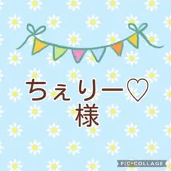 ちぇりー♡様 ガーゼハンカチ　リクエスト 2点 まとめ商品