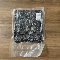 新品・未開封　三代目　FC継続特典バッグのサムネイル