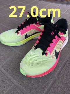 美品　ナイキ ズーム ペガサス 40 PRM エキデン　 FQ8111-331