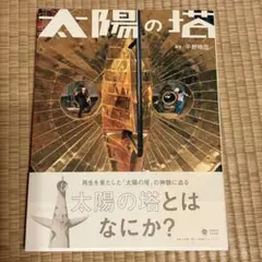 ヤン・アルテュベルトラン 空から見た地球 21世紀への遺産 箱入り
