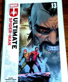 スパイダーマン 洋書