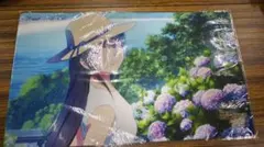 Item thumbnail for item 543d6344-6f7a-4a31-8280-d0f421c76e51