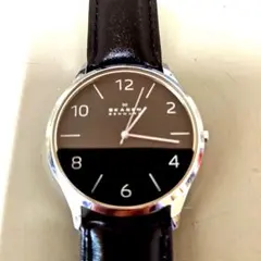 Skagen スカーゲン SKW6152 黒文字盤 　新品バンド取替のサムネイル