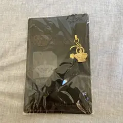 ポルノグラフィティ コンパス付キーホルダー ポルノグラフィティ コンパス付キーホルダー ポルノグラフィティ