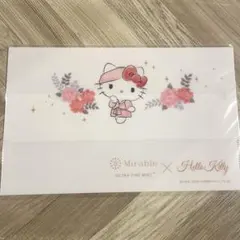 おまけ付き♡ハローキティ コラボマスクケース