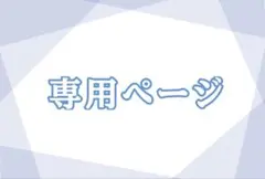 専用ページ