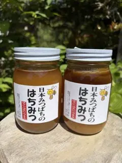 ハチミツ　日本蜜蜂花粉入り蜂蜜　谷違い巣箱違いの2種　奥山の奥　結晶化進行中 ハチミツ 日本蜜蜂花粉入り蜂蜜 谷違い巣箱違いの2種 奥山の奥 結晶化