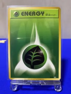 基本草エネルギー ファーストデザイン PROMO XY-P ★希少★