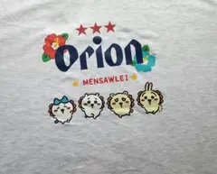 Orion Tシャツ グレー Lサイズ
