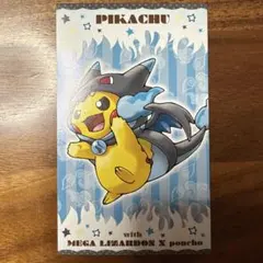 【PSA6】ポンチョを着たピカチュウ メガリザードンX 名刺 2015年 PSA6】ポンチョを着たピカチュウ メガリザードンX 名刺 2015年 - メルカリ