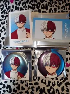 僕のヒーローアカデミア　轟焦凍