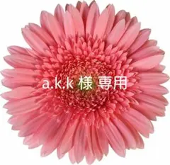 a.k.k 様 専用