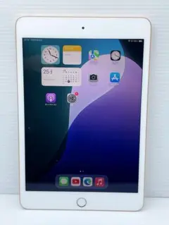ipad mini 5 64GB Wi-Fi ゴールド 動作確認済