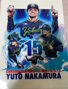 2026年最新】東京ヤクルトスワローズクリアファイルの人気アイテム