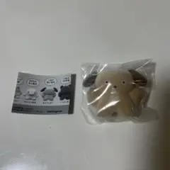 ブチャグルミ おいなり