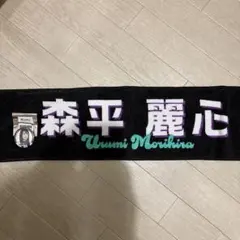 Item thumbnail for item 94cf9a83-d399-40d5-9d4c-00cff220183d