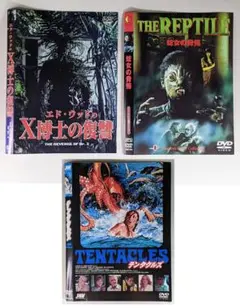 闇の帝王DON ベルリン強奪作戦('11インド) 闇の帝王DON ベルリン強奪作戦('11インド)DVD、シャー・ルク・カーン