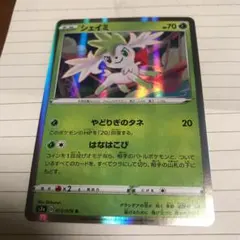ポケモンカード 色違い カナザワのピカチュウ