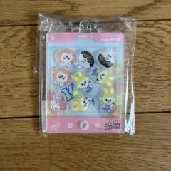 SKZOO カスタムアクリルキーホルダー Stray Kids リービット リノ