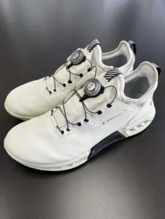 2026年最新】ecco ゴルフシューズ 42の人気アイテム - メルカリ