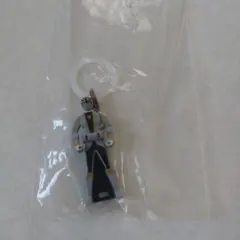 めじるしアクセサリー　ゴーカイシルバー