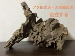 流木オブジェ 005鳥 カワセミ オブジェ ハンドメイド コレクション