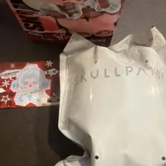 SKULLPANDA winter symphony song of snow