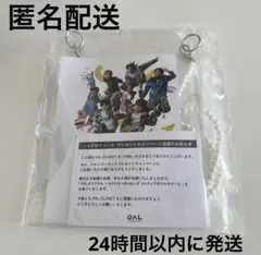 【匿名配送】パルクロ すっきゃねんず ストラップ付マルチケース