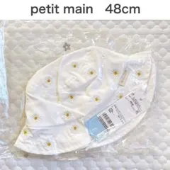 Item thumbnail for item 276f12ed-222f-49fe-a854-34e8e9bf87e7