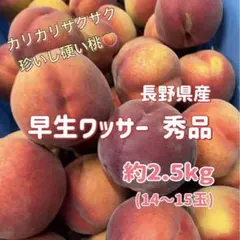 長野産ワッサー箱入り13キロ 高瀬さん専用 - メルカリ