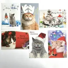 oocat様 リクエスト 3点 まとめ商品