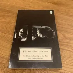 F. Scott Fitzgerald The Diamond as Big….