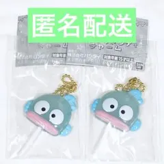 サンリオキャラクターズ　カラフルキャンディチャーム　ハンギョドン２点