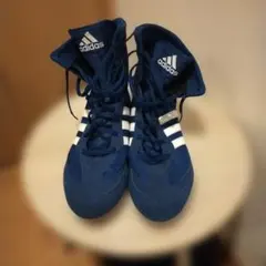 Item thumbnail for item 04a1064d-2a70-4cba-b40e-3b66454dae5d