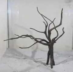 2026年最新】ブランチウッドの人気アイテム - メルカリ