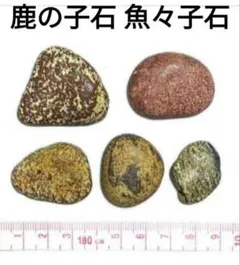 青森県産 津軽錦石 鹿の子石 魚々子石 カラフル個体 原石 묶음 판매 セット ①