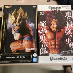 大擂台賽編 範馬刃牙 スペシャルエディション海外輸入品 - メルカリ