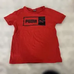 PUMA 赤 Tシャツ 128cm